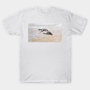 Winter Flight T-Shirt